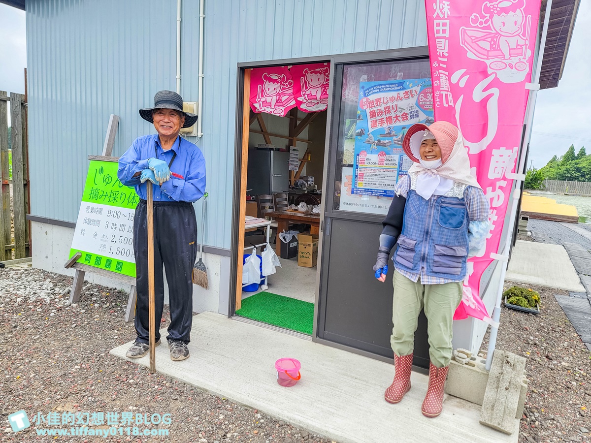 [秋田旅遊]阿部農園蓴菜採摘體驗/秋田特產水中綠寶石/咕溜口感滿滿膠原蛋白