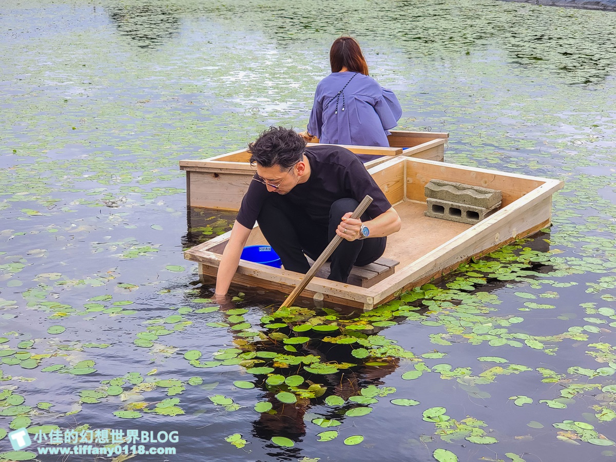 [秋田旅遊]阿部農園蓴菜採摘體驗/秋田特產水中綠寶石/咕溜口感滿滿膠原蛋白