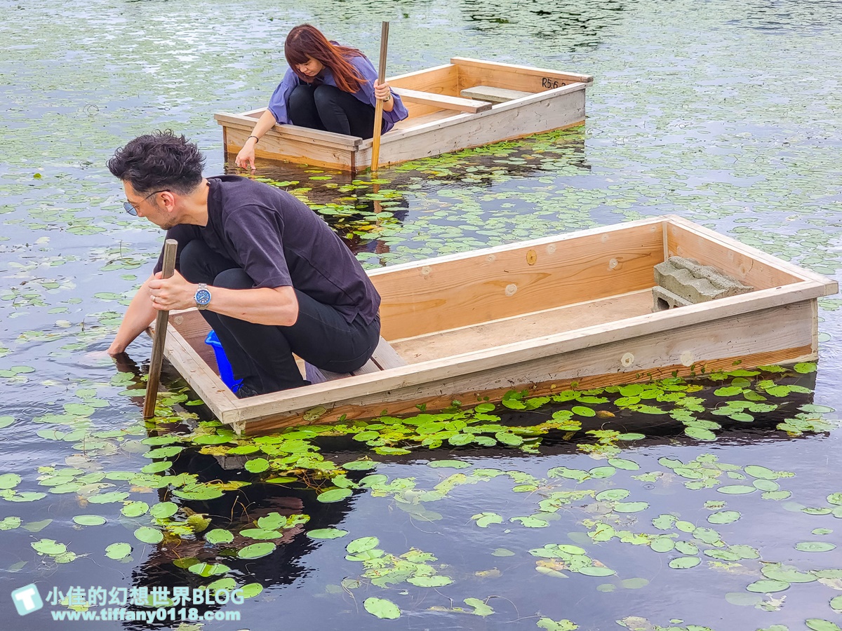 [秋田旅遊]阿部農園蓴菜採摘體驗/秋田特產水中綠寶石/咕溜口感滿滿膠原蛋白